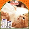 Sữa bột dinh dưỡng Dr Kyan Precaten cho Mèo hộp 100g