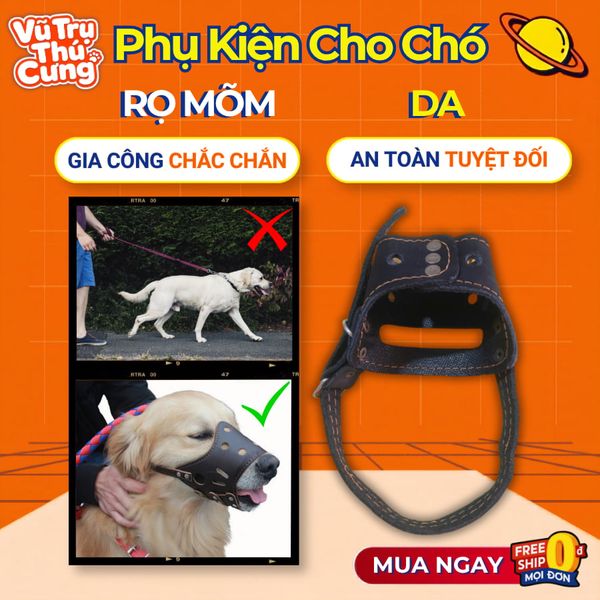 Rọ Móm Cho Chó Chất Liệu Da, Gia Công Chắc Chắn, Chống Cắn Phá, An Toàn Sử Dụng