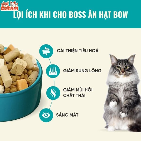 Thức Ăn Cho Mèo Bite Of Wild F42 Thành Phần 6 Loại Cá Biển, Protein 42%, Giúp Mượt Lông Da
