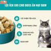 Thức Ăn Cho Mèo Bite Of Wild F42 Thành Phần 6 Loại Cá Biển, Protein 42%, Giúp Mượt Lông Da