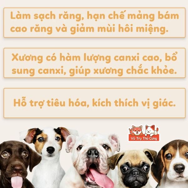 Snack Cho Chó Dexinbone Que Xoắn Vị Sữa Quấn Gà, Bổ Sung Protein, Tăng Cường Canxi, Loại Bỏ Mảng Bám
