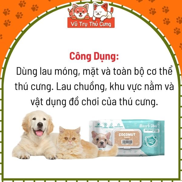 Khăn Giấy Ướt Kháng Khuẩn Vệ Sinh Cho Chó Absorb 80 Miếng