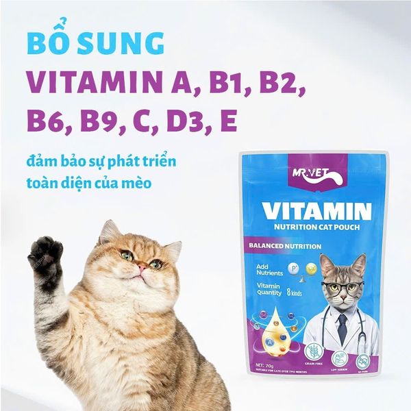 Pate Cho Mèo Hỗ Trợ Mượt Lông Da Mr.Vet 70g2