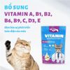 Pate Cho Mèo Hỗ Trợ Mượt Lông Da Mr.Vet 70g2