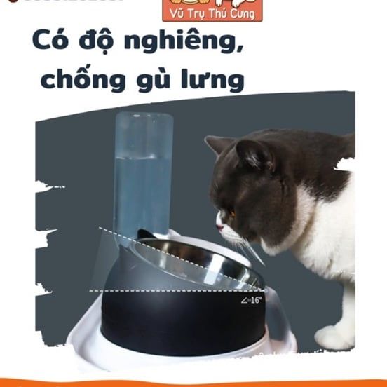 Bát Ăn Chống Kiến Và Chống Gù Lưng Cho Chó Mèo Kèm Bình Nước Tự Động