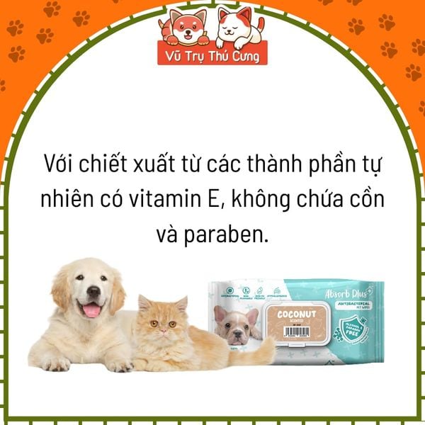 Khăn Giấy Ướt Kháng Khuẩn Vệ Sinh Cho Chó Absorb 80 Miếng