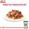 Pate Cho Chó Royal Canin Mini Adult Gói 85g