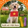 Đồ Chơi Xương Gặm Cao Su Siêu Bền Cho Chó DoggyMan
