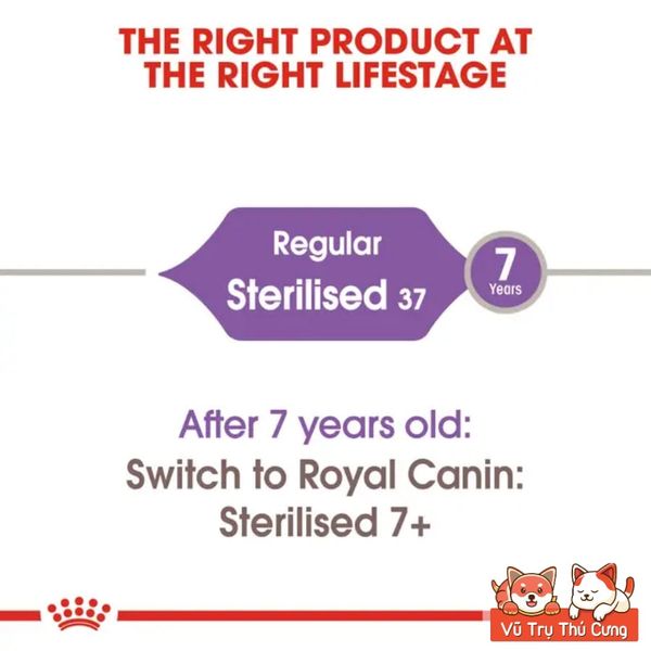 Thức Ăn Hạt Cho Mèo Royal Canin Sterilised 37, Dành Cho Mèo Triệt Sản Trưởng Thành