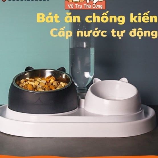Bát Ăn Chống Kiến Và Chống Gù Lưng Cho Chó Mèo Kèm Bình Nước Tự Động