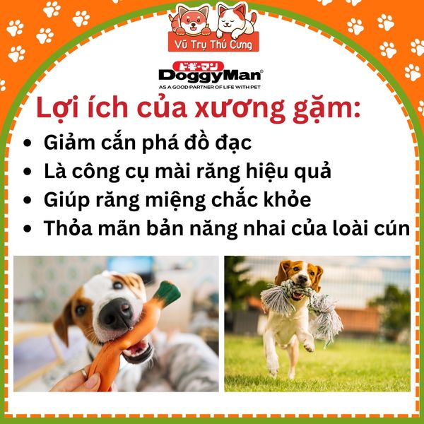 Đồ Chơi Xương Gặm Cao Su Siêu Bền Cho Chó DoggyMan