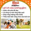 Đồ Chơi Xương Gặm Cao Su Siêu Bền Cho Chó DoggyMan