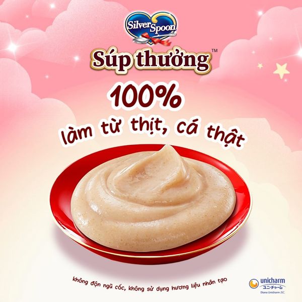 Súp Thưởng Cho Mèo Silver Spoon Thái Lan Không Ngũ Cốc, Giàu Đạm (Túi 4 Thìa)