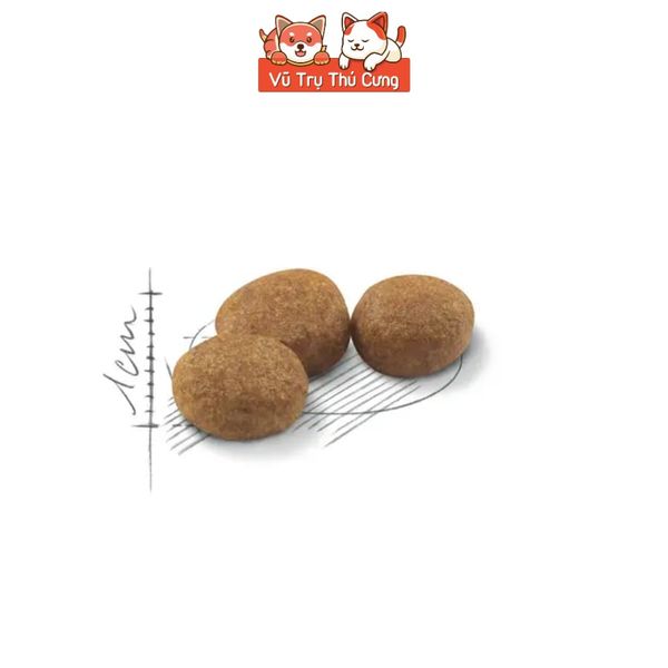 Thức Ăn Hạt Cho Mèo Royal Canin Sterilised 37, Dành Cho Mèo Triệt Sản Trưởng Thành