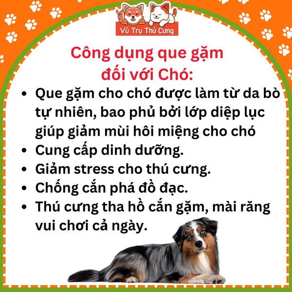 Snack Cho Chó Que Da Bò Nhúng Thịt Gà DoggyMan