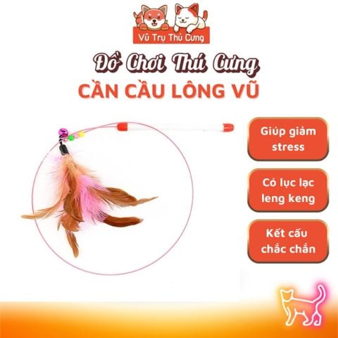 Đồ Chơi Cần Câu Vờn Mèo Tương Tác