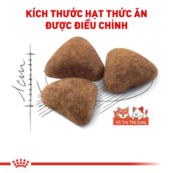 (Nguyên Seal) Thức ăn hạt cho Mèo trưởng thành Royal Canin Indoor 2Kg