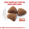 (Nguyên Seal) Thức ăn hạt cho Mèo trưởng thành Royal Canin Indoor 2Kg