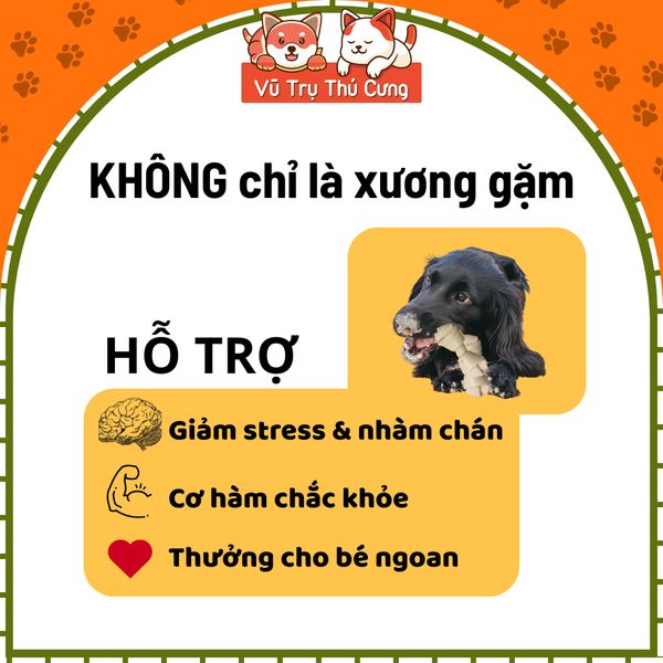 Xương Gặm Cho Chó Cao Cấp Dental Chews Altimate Pet