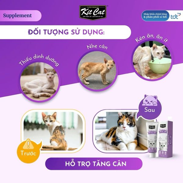 Gel Dinh Dưỡng Hỗ Trợ Tăng Cân Cho Mèo Kitcat 120g2