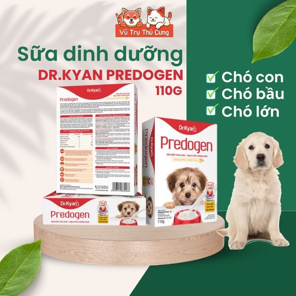 Sữa Bột Cho Chó Bổ Sung Dinh Dưỡng Dr.Kyan Predogen