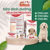 Sữa Bột Cho Chó Bổ Sung Dinh Dưỡng Dr.Kyan Predogen