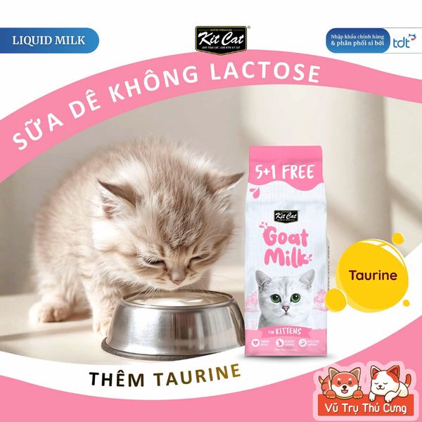 Sữa Cho Mèo KitCat Goat Milk Gói 50ml - Không Lactose