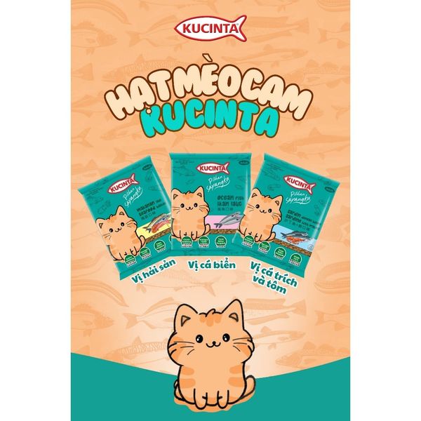 Thức Ăn Hạt Cho Mèo Kucinta Thái Lan 1Kg