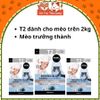 Thức Ăn Hạt Cho Mèo Mister Donut T1 & T2 Topping Thịt Sấy