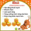 Đồ chơi cho Chó gặm hình bóng Tenis FOFOS (1 Banh Lẻ)