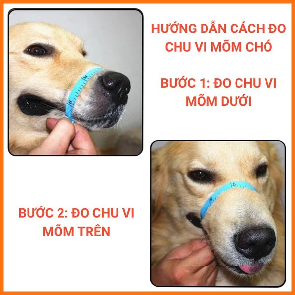 Rọ Móm Cho Chó Chất Liệu Da, Gia Công Chắc Chắn, Chống Cắn Phá, An Toàn Sử Dụng