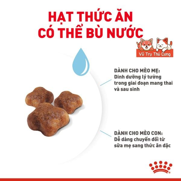 Thức Ăn Hạt Cho Mèo Con Royal Canin Mother & Babycat