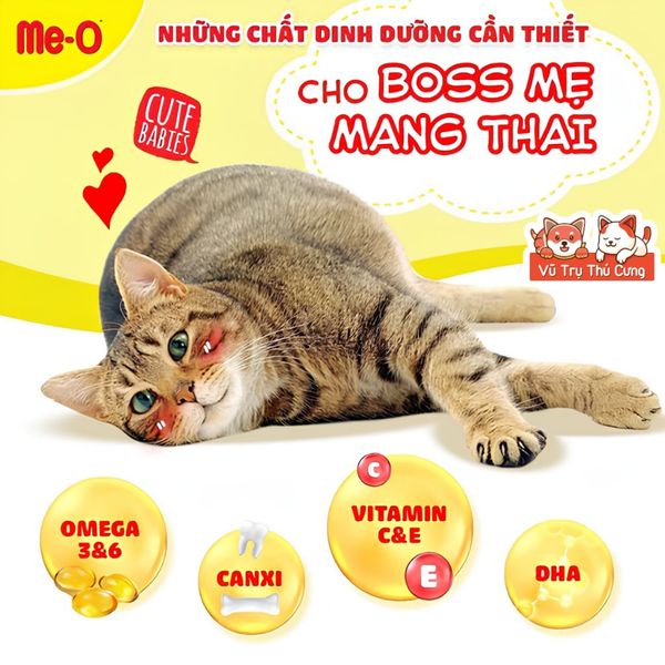 Hạt Cho Mèo Me-O Mother & BabyCat Mèo Mang Thai, Cho Con Bú, Mèo Con Dưới 2 Tháng Tuổi