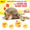 Hạt Cho Mèo Me-O Mother & BabyCat Mèo Mang Thai, Cho Con Bú, Mèo Con Dưới 2 Tháng Tuổi