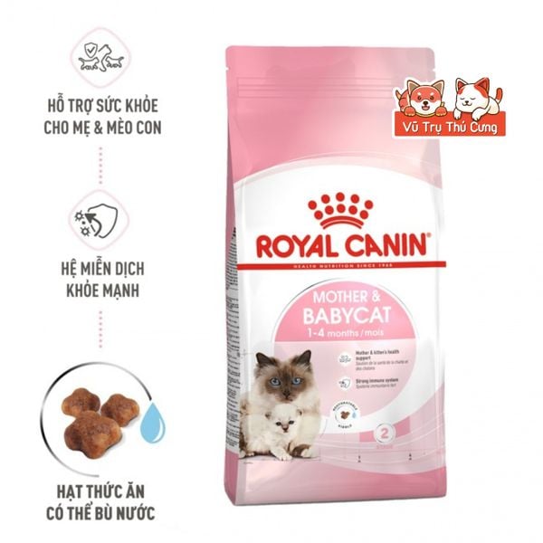 Thức Ăn Hạt Cho Mèo Con Royal Canin Mother & Babycat