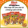 Snack Cho Chó Bánh Donut Da Bò Cuộn Thịt Gà DoggyMan 60g