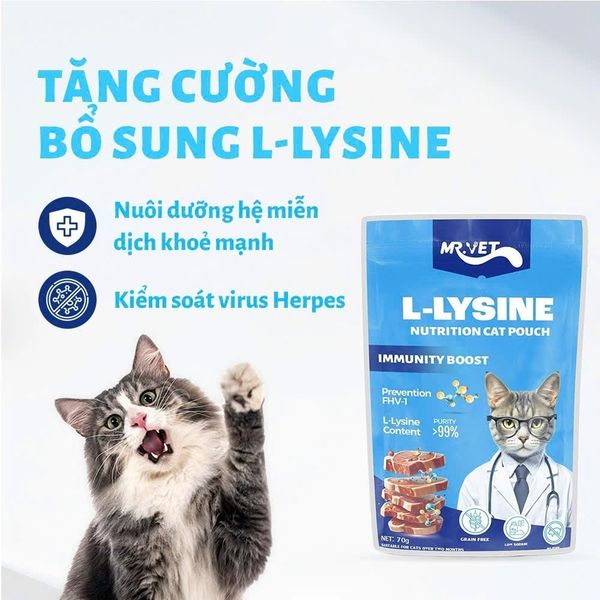 Pate Cho Mèo Hỗ Trợ Mượt Lông Da Mr.Vet 70g2