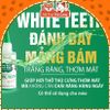Dung Dịch Vệ Sinh Răng Miệng Cho Thú Cưng Vemedim 100ml2