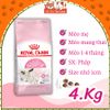 (4Kg) Hạt Cho Mèo Con Royal Canin Mother & BabyCat