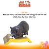 Bàn Cào Móng Cho Mèo Cattyman Thương Hiệu Nhật Bản