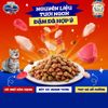 Thức Ăn Hạt Cho Mèo Silver Spoon Nhật Bản 1Kg Giàu Dinh Dưỡng