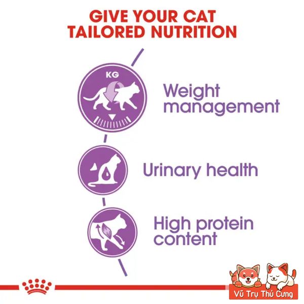 Thức Ăn Hạt Cho Mèo Royal Canin Sterilised 37, Dành Cho Mèo Triệt Sản Trưởng Thành