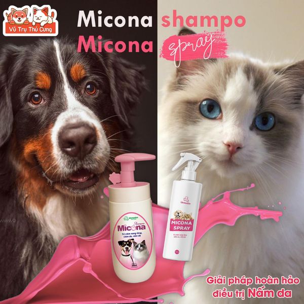 Xịt Viêm Da, Nấm Da Vemedim Micona Spray 100ml