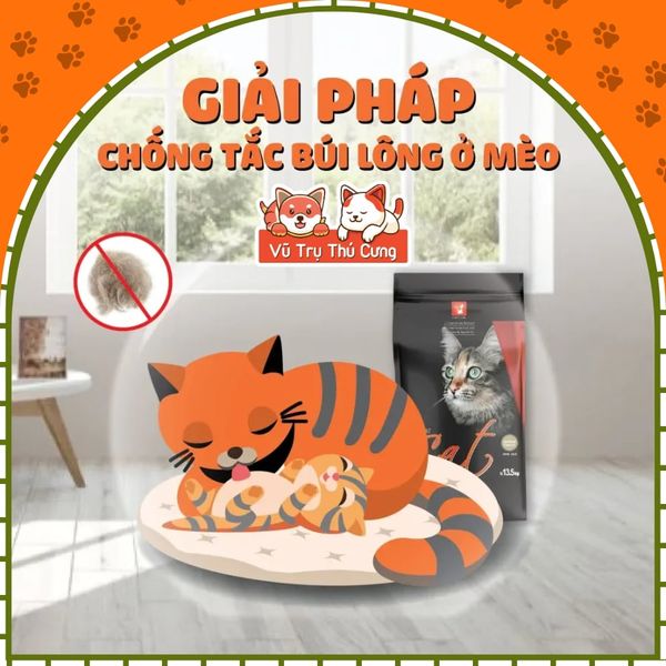 (Nguyên Seal) Hạt Cho Mèo Cat's Eye Hàn Quốc Mọi Độ Tuổi2