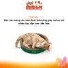 Bàn Cào Móng Cho Mèo Cattyman Thương Hiệu Nhật Bản