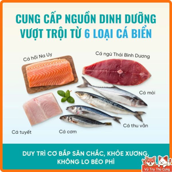 (Mua 1 Tặng 4) Thức Ăn Cho Mèo Bite Of Wild 1Kg Cao Cấp Giàu Đạm, Không Độn Ngũ Cốc-Nhiều Thịt
