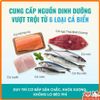 (Mua 1 Tặng 4) Thức Ăn Cho Mèo Bite Of Wild 1Kg Cao Cấp Giàu Đạm, Không Độn Ngũ Cốc-Nhiều Thịt