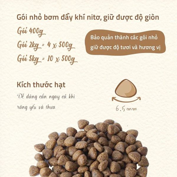 Hạt Cho Mèo Con Natural Core Bene C1