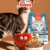 Hạt Cho Mèo Wanpy Grain Free Không Độn Ngũ Cốc, Giúp Mèo Mượt Lông, Hỗ Trợ Tiêu Hóa