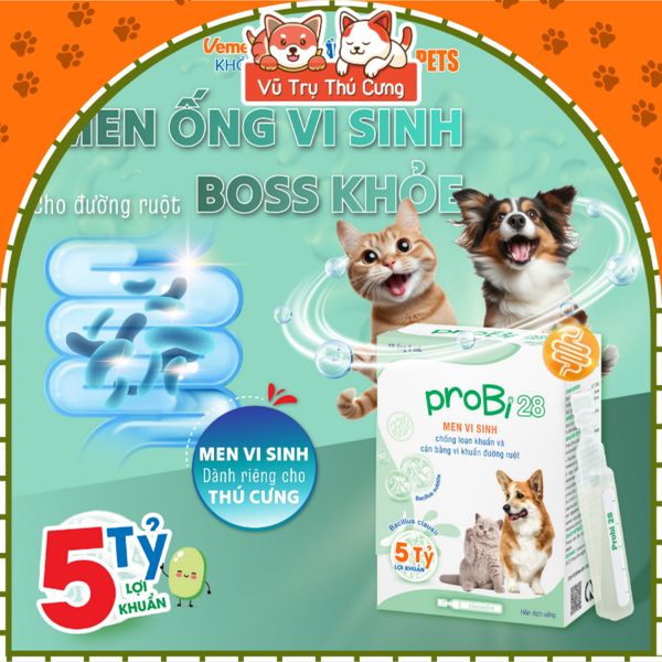 Men Vi Sinh Vemedim Cho Chó Mèo Probi 28 , Tăng Cường Hấp Thu Dinh Dưỡng 5ml